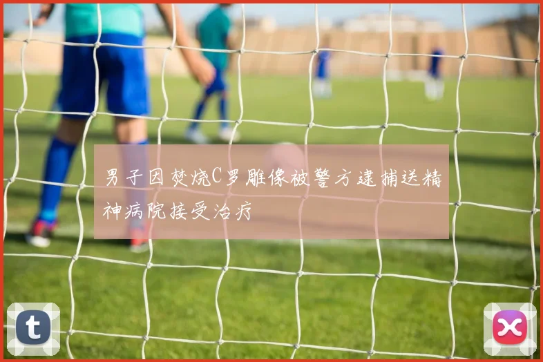 男子因焚烧C罗雕像被警方逮捕送精神病院接受治疗