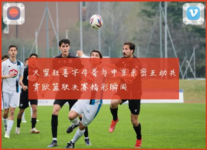 火蜜狂喜字母哥与申京亲密互动共赏欧篮联决赛精彩瞬间
